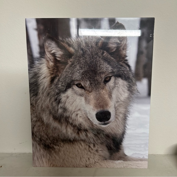 Wolf Canvas Art Print - Picture 1 of 1